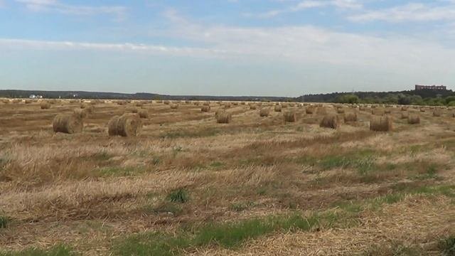 Звенигород Крылатское.
