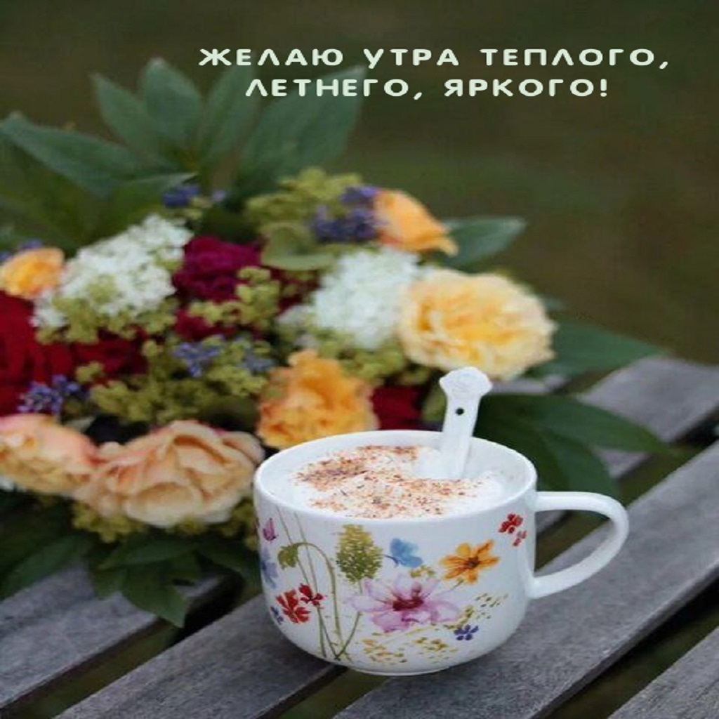 Картинки с добрым утром красивые новые необычные нежные