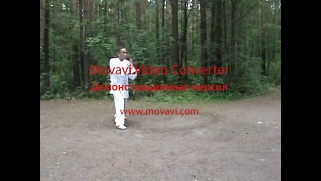 8 ладоней Багуа