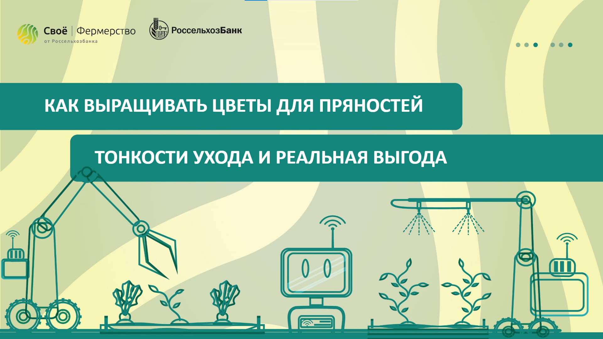 Как выращивать цветы для пряностей: тонкости ухода и реальная выгода