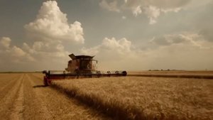 Город Михайловка Волгоградской области