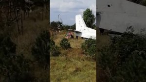Парк львов "Тайган" в Крыму. Выезд ко львам владельца парка Олега Зубкова.