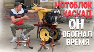 Раньше же умели делать! Шедевр из прошлого века - мотоблок Каскад на всю жизнь.