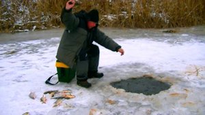 Рыбалка в декабре ( 2016 г, красноперка, Астраханская область)