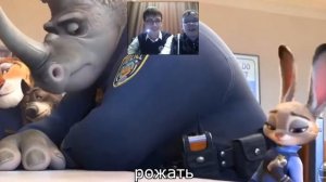 Реакция на RYTP Зверопопа, смотреть до конца