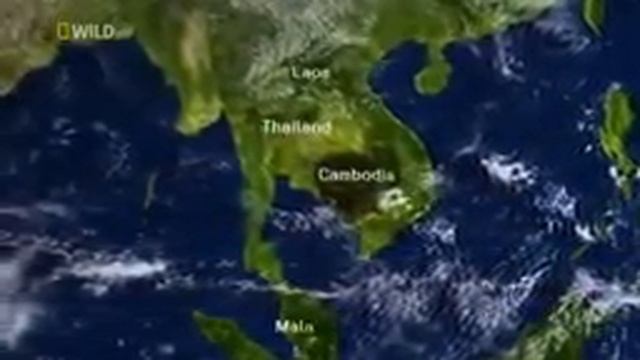 Дикий Тайланд Бангкок ночная жизнь ,Скрытая от глаз природа Таиланда