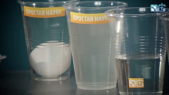 Книга 1 / Опыты с куриным яйцом / 22 - Плавающие яйца смотреть онлайн