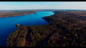 оз Копанское Ленинградская область Кингисеппский район