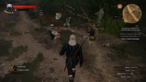 The Witcher 3 Wild Hunt #6 Интересные места №2 (На смерть!)