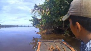 Mancing udang galah sampai tercebur ke sungai.