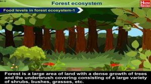 Environment & Ecosystems | Part 2 | Social Factors | Pond Ecosystem | Forest Ecosystem