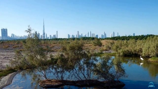 Дубай - Где и на чем сэкономить. 15 лайфхаков смотреть онлайн