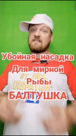 Супер наживка для рыбалки.Балтушка .