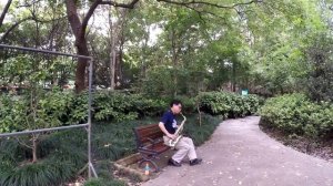 День 5. Типичный Шанхай.Обзор номера и лаудж-зоны в отеле Novotel Atlantis