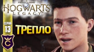 ОН НЕ УМЕЕТ ХРАНИТЬ ТАЙНЫ! Hogwarts Legacy #13