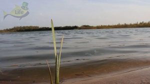 Секреты деда по ловле карася в октябре! В какую погоду ловить карася в октябре? Карась в октябре!