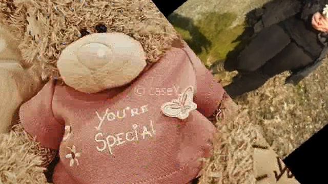 «моя любимая семья».wmv смотреть онлайн