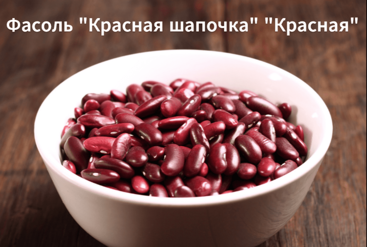 Beans. Фасоль. Фосол. Фасоль красная. Сырая фасоль.