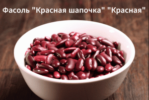 Как сажать фасоль. Сорт "Перепелиное яичко","красная шапочка","Красная".