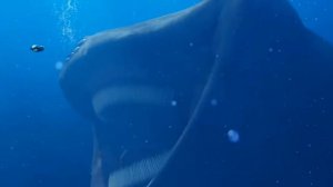 El Gran Maja Sounds (Borisao)