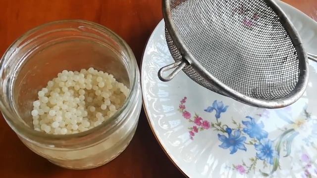 Икра улитки, первая дегустация | Улиточная ферма Royal Snail | смотреть онлайн