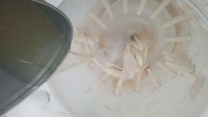 Перосъёмная машина