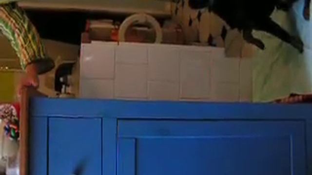 Brabantino jumps 2 смотреть онлайн