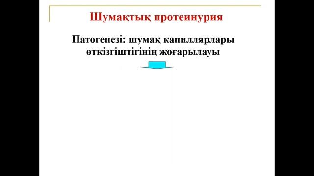 Лекция Патофизиология почек на каз яз смотреть онлайн