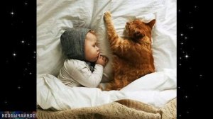 Почему Кошки Спят в Кроватке с Детьми? ¤ НЕОБЫЧАЙНОЕ
