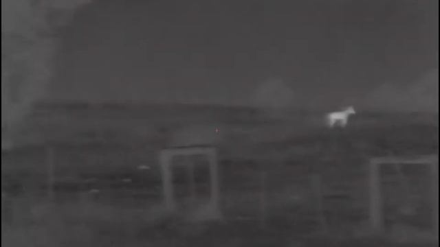 XQ 50 Thermion смотреть онлайн