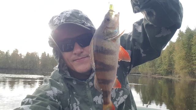 #3 Рыбалка на секретном озере. Окунь клюет с каждого заброса! смотреть онлайн