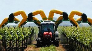 Как Израиль стал самой продвинутой страной в сельском хозяйстве