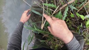 Голавль на реке Мокрый Карамык. рыбалка на воблер. июнь 2020