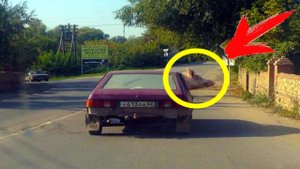 Умом Россию не понять / Это Россия / Чисто приколы / Засмеялся - Подписался / #1