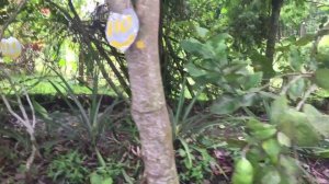 Бали сайлент ретрит - 2