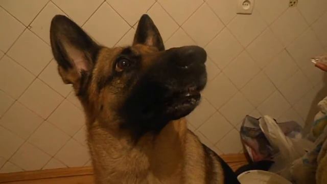 Смена настроения :D смотреть онлайн