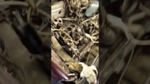 21 октября 2021 г.пассат Б3 не могу снять движок бес коробки