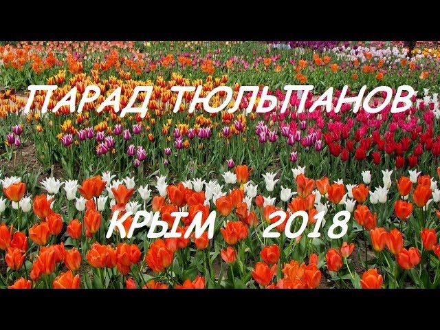 Парад тюльпанов, Крым 2018