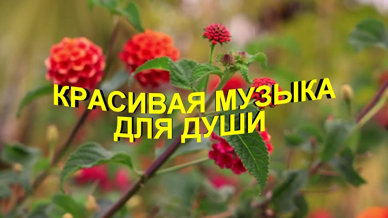 Красивая музыка для Души