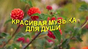 Красивая музыка для Души