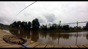 Дневная рыбалка в РК Посейдон. Ловлю карпа. I am fishing for carp.