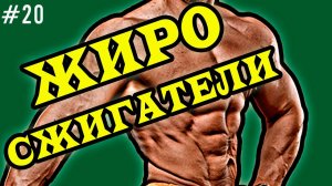 Жиросжигатели. Обзор,виды.