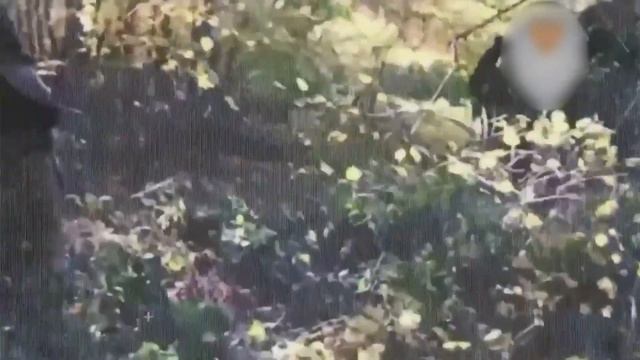 Почему террористы убивают себя сами смотреть онлайн