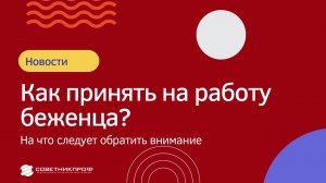 Как в России принять на работу беженца в 2022 году? #советникпроф