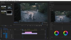 50 FREE Cinematic Luts | Color Grading | PRO LEVEL