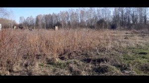 17/Расчистка участка своими силами