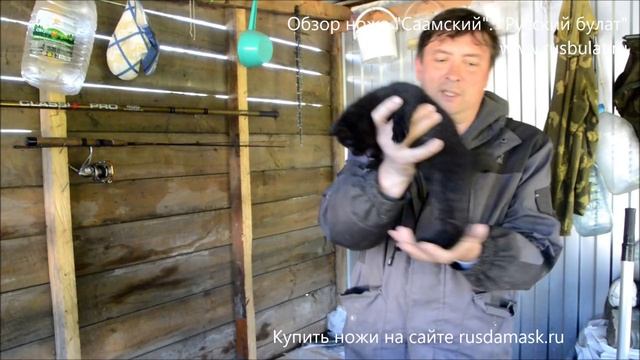 Обзор ножа Саамский. Котята на озере Кошкино подросли. смотреть онлайн