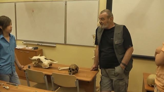 22 Швы черепа. Мужской и женский скелеты смотреть онлайн