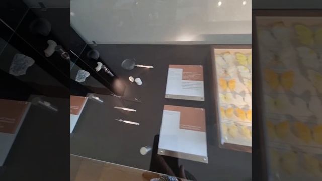 Наша экскурсия к замку в стиле Барокко,Саксония. смотреть онлайн