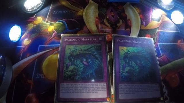 YU-GI-OH! UPDATED TOADALLY TIMELORDS GAUNTLET DECK PROFILE смотреть онлайн